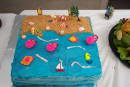 Ocean Cake